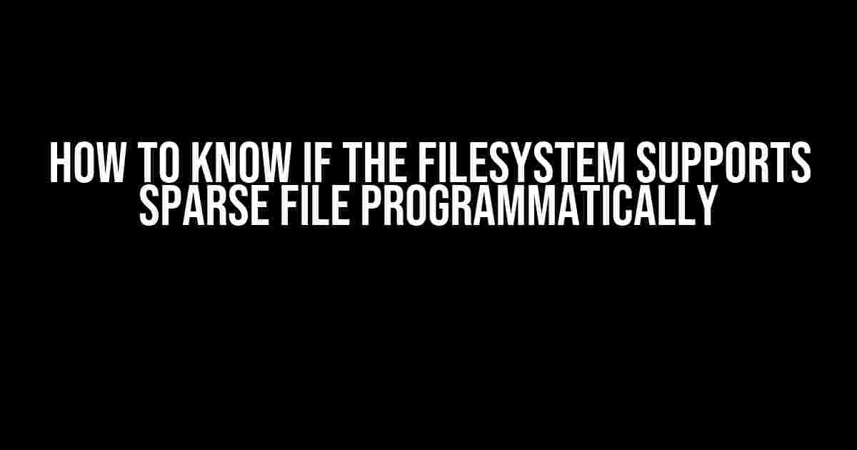 How to Know if the Filesystem Supports Sparse File Programmatically